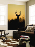 White-Tailed Deer in Grassland, Texas, USA Wall Mural by Larry Ditto