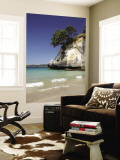 Cathedral Cove, Coromandel Peninsula, North Island, New Zealand Wall Mural by David Wall