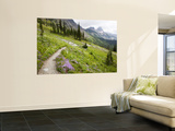 Highline Trail To Granite Park Chalet, Glacier National Park, Montana, USA Mural por Jamie & Judy Wild