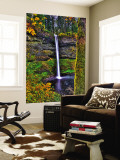 South Falls at Silver Falls State Park, Oregon, USA Wall Mural by Joe Restuccia III