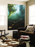 Juvenile Copper Rockfish Hiding Among, Giant Kelp, Browning Passage, British Columbia, Canada Reproduction murale géante par Stuart Westmorland