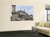 Domes and Minarets of Sultan Ahmet's Blue Mosque in Sultanahmet Wall Mural by Tim Makins