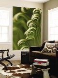 Close Up of Sago Palm in the Spring, Savannah, Georgia, USA Wall Mural by Joanne Wells