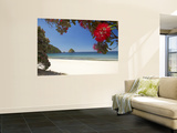 Pohutukawa Tree in Bloom and New Chums Beach, Coromandel Peninsula, North Island, New Zealand Wall Mural by David Wall