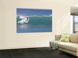 Surfing at Waikiki, Honolulu, Hawaii, USA Wall Mural by Douglas Peebles