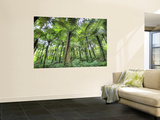 View of Vegetation in Bali Botanical Gardens, Bali, Indonesia Wall Mural