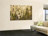Beargrass and Lupine Backlit on the Slopes at Whitefish Mountain Resort, Whitefish, Montana, USA Wall Mural by Chuck Haney