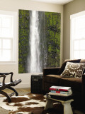 Akaka Falls, Hamakua Coast, Hawaii, USA Wall Mural by Savanah Stewart