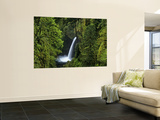 Metlako Falls Along Eagle Creek in the Mount Hood National Forest, Oregon, USA Wall Mural by Chuck Haney