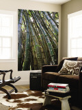 Carved Initials on Bamboo Stalks on the Kalalau Trail Wall Mural by Micah Wright