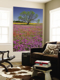 Spring Mesquite Trees Growing in Wildflowers, Texas, USA Vægplakat af Julie Eggers Spring Mesquite Trees Growing in Wildflowers, Texas, USA Vægplakat af Julie Eggers