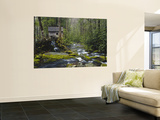 Watermill By Stream in Forest, Roaring Fork, Great Smoky Mountains National Park, Tennessee, USA Wall Mural by Adam Jones
