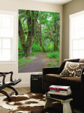 Hall of Mosses, Hoh Rain Forest, Olympic National Park, Washington, USA Reproduction murale géante par Jamie & Judy Wild