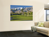 Desert Princess Golf Course and Mountains, Palm Springs, California, USA Wall Mural by Walter Bibikow