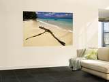 Driftwood on Deserted Beach Wall Mural by Paul Harding