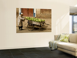 Vendor with Watermelon Cart Wall Mural by Wes Walker