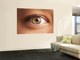 Close-Up of Eye Wall Mural by Oliver Strewe