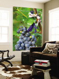 Vineyard Operated By Dynasty Winery Near Jixian, Tianjin Province, China Wall Mural by Janis Miglavs
