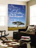 Acacia Trees under Blue Sky with Clouds Mural por Sean Caffrey Acacia Trees under Blue Sky with Clouds Mural por Sean Caffrey