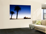 Sydney Opera House at Dawn with Trees in Silhouette Wall Mural by Tim Barker