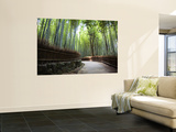 Bamboo Forest Walkway, Arashiyama District Wall Mural by Rachel Lewis