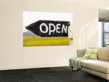 Open Sign Detail Wall Mural by Oliver Strewe