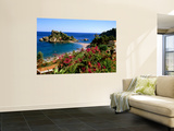 Populated Island Coastline, Isole Bella, Sicily, Italy Wall Mural by John Elk III
