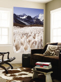 Snow Pinnacles ('Penitientes') at Rio Colorado Headwaters, Cerro Mercedario (6770M) in Background Mural por Grant Dixon