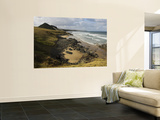 Overhead of Wild Coast Wall Mural by Ariadne Van Zandbergen