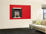 Flowers on Window Sill on Bright Red Wall Wall Mural by Dennis Walton