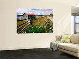 Buildings, Fences and Wildflowers at Oldest Estancia (Cattle Station) in Patagonia Wall Mural by Michael Taylor