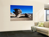 Bizarre Rock Formation known as Arbol De Piedra (Stone Tree) Reproduction murale géante par Craig Pershouse