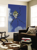 Garden Orb Spider (Argiope Australis) Wall Mural by Ariadne Van Zandbergen