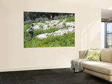 Sheep Herder Wall Mural by Olivier Cirendini