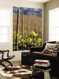 Vines in Winter at Carmel Road's Valley View Vineyard Wall Mural by Brent Winebrenner