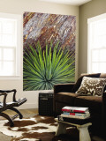 Yucca and Stone Wall Mural by Douglas Steakley
