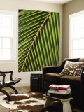 Palm Frond, Westpunt Wall Mural by Holger Leue