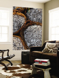 Baskets of Fish on Beach Mural por Paul Kennedy Baskets of Fish on Beach Mural por Paul Kennedy