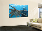 Diver Looking at Octopus at Blue Safari Submarine Wall Mural by Holger Leue