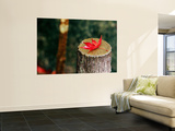 Autumn Leaf on Trunk in Tenju-An Temple Garden Wall Mural by Frank Carter