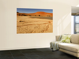 Sossusvlei Filled with Water after Exceptional Rains in 2006, Namib-Naukluft National Park Wall Mural by Ariadne Van Zandbergen