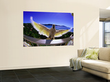 Cockatoo on Hotel Room Balcony Reproduction murale géante par Christopher Groenhout