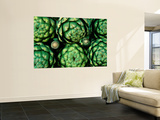 Fresh Artichokes Wall Mural by Douglas Steakley
