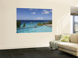 Swimmer in Infinity Pool at Habitat Curacao Dive Resort Near St. Willibrordus Wall Mural by Holger Leue