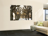 Man on Path in Park in Winter Wall Mural by Richard l'Anson