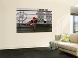 Macondray Lane in Russian Hill Wall Mural by Sabrina Dalbesio