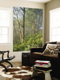 White Snakeroot Flowers Growing in Forest, Polly Bend, Garrard County, Kentucky, USA Wall Mural by Adam Jones