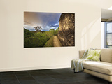 Sunset, with Double Rainbow, from Top of Temple 216 at Yaxha Site Wall Mural by Diego Lezama
