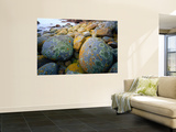 Granite Boulders at Wineglass Bay Wall Mural by Rob Blakers