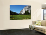 Yosemite Valley from Valley Floor Wall Mural by Wade Eakle